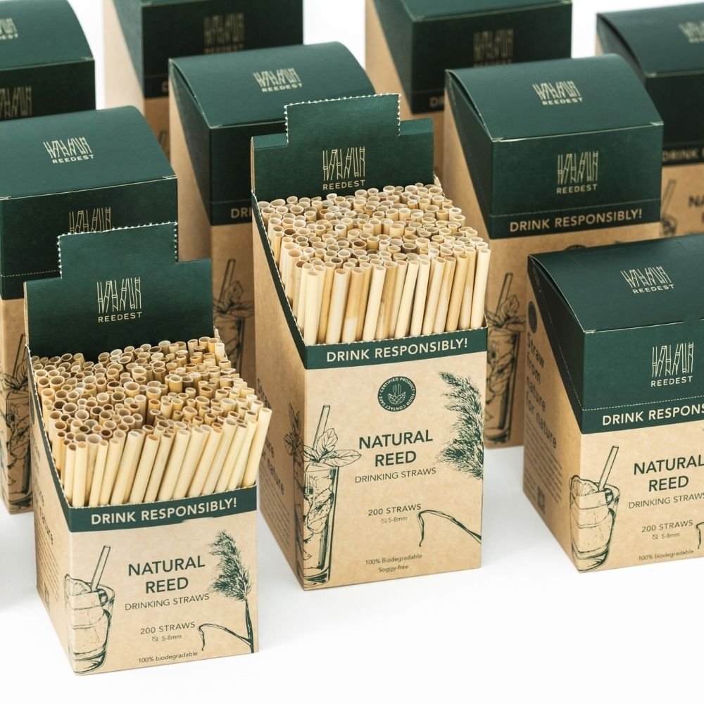 Reedest Trinkröhrl Schilf 6-9 mm Länge 20cm